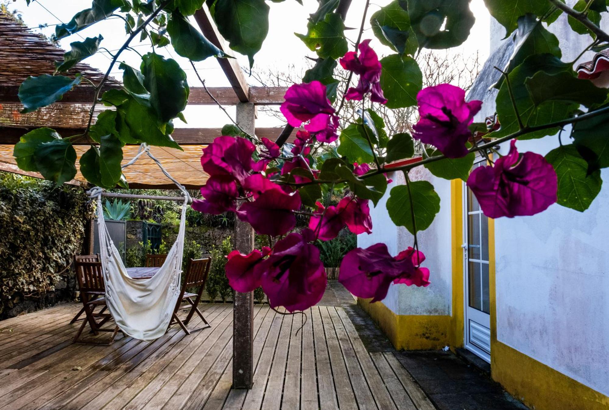 Casa Villa Cottage Ponta Delgada - Açores Exterior foto